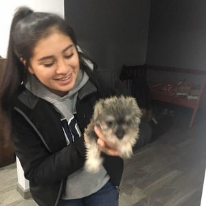 Meet your Posher, Sarahi